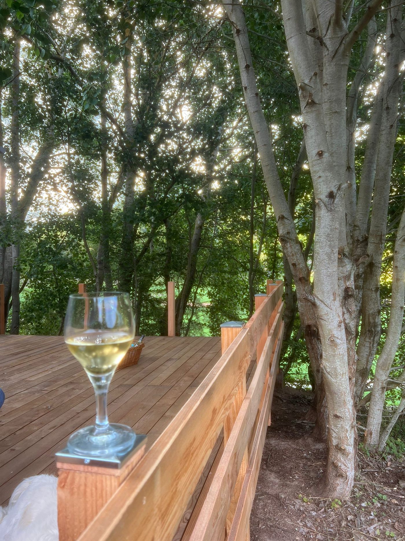 Entspannte Stunden auf der Holzterrasse – See in Sicht im Sommer