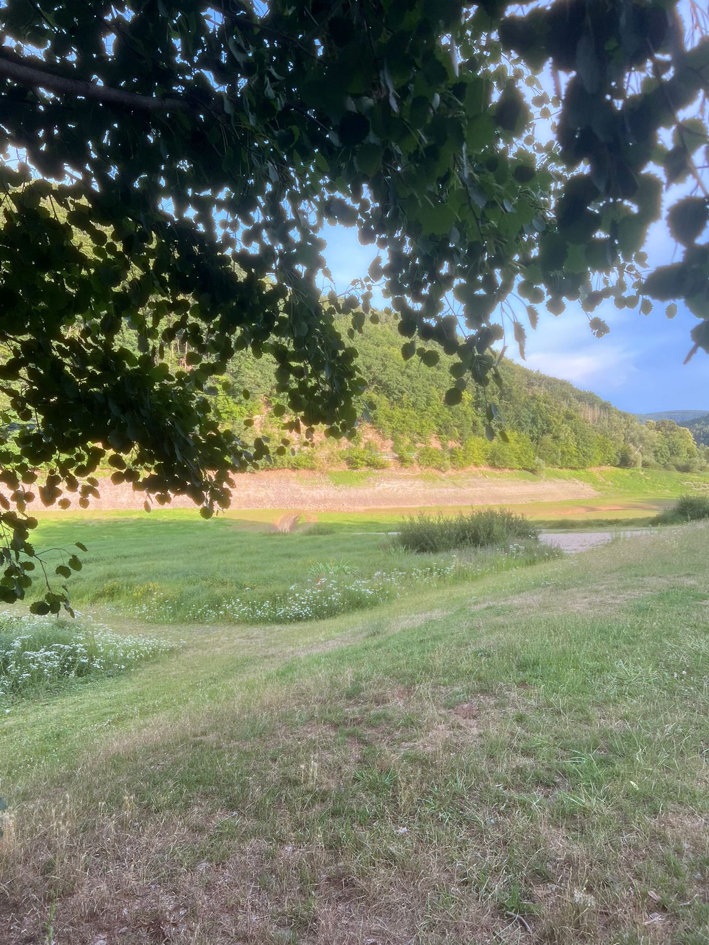 Sommerliche Natur am Edersee – Wiesen und Wälder von See in Sicht